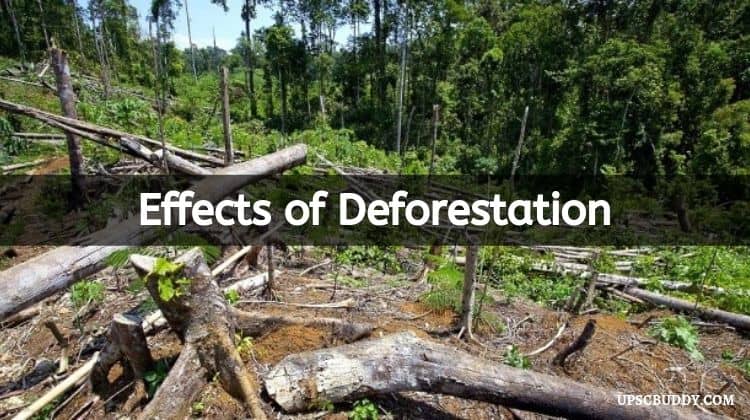 Reading 76 - The Effects of Deforestation