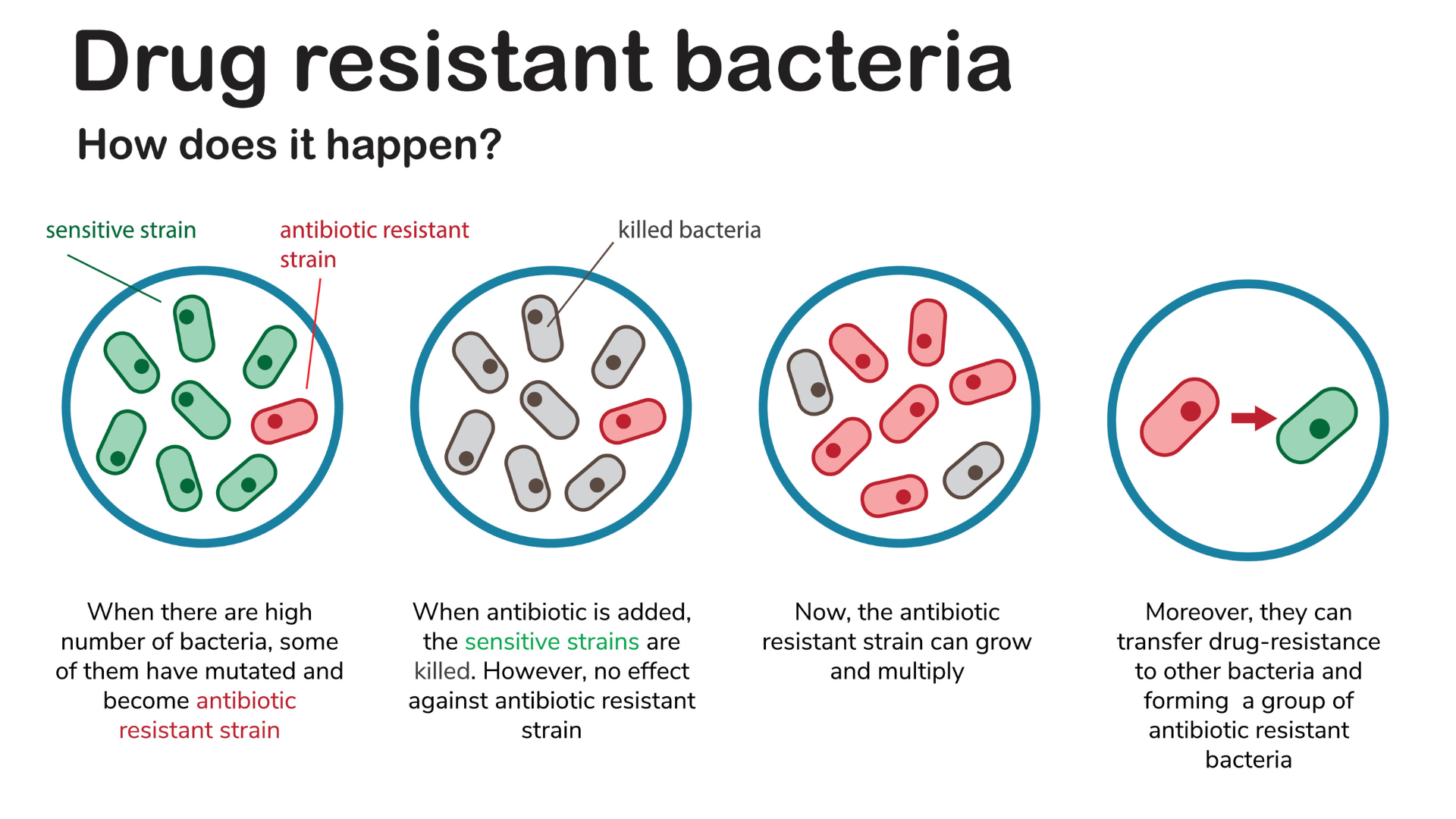 Reading 81 - A New Perspective on Bacteria