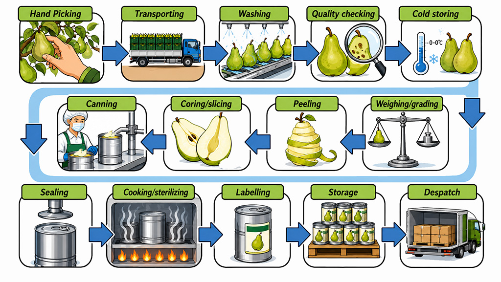 [Writing Task 1] The diagram shows the process of canning fresh fruit. Summarize the information by selecting and reporting the main features.